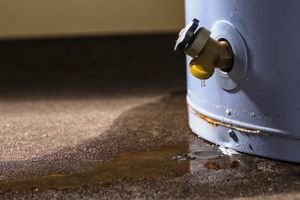 Water damage restoration process in St Paul, MN