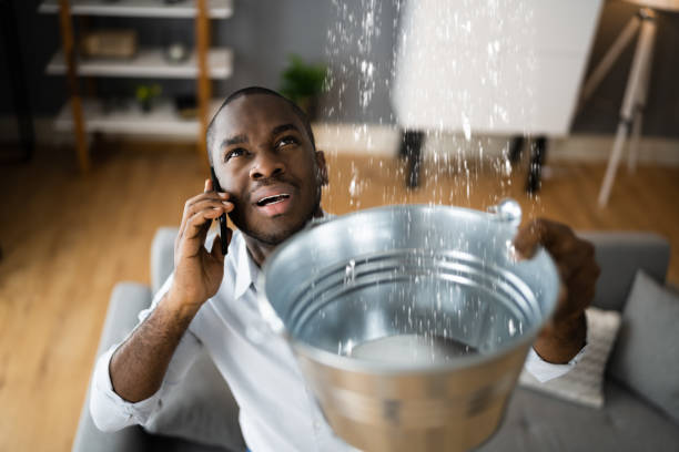 Best Commercial water damage restoration  in St Paul, MN