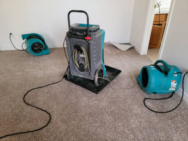Best Water damage restoration near me  in St Paul, MN
