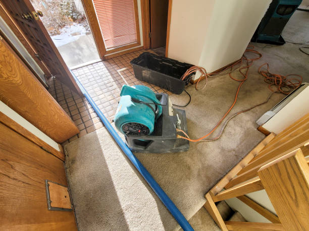 Best Water damage restoration near me  in St Paul, MN