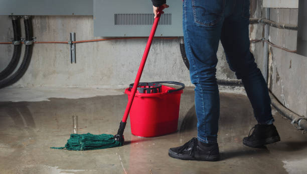 Best 24/7 water damage repair  in St Paul, MN