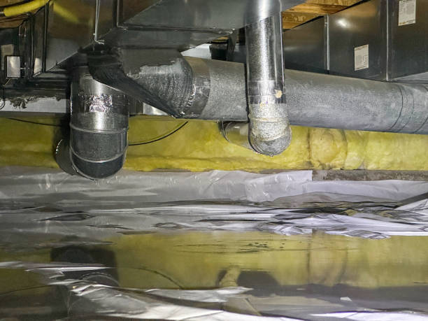 Best Carpet water damage restoration  in St Paul, MN