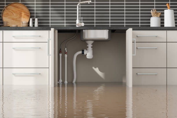 St Paul, MN Water damage restoration Company