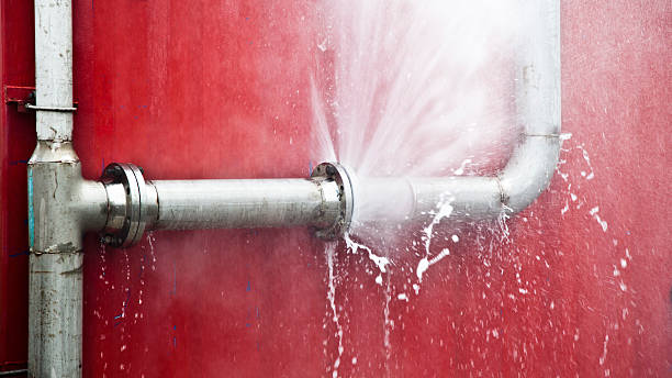 Best Water damage contractors near me  in St Paul, MN